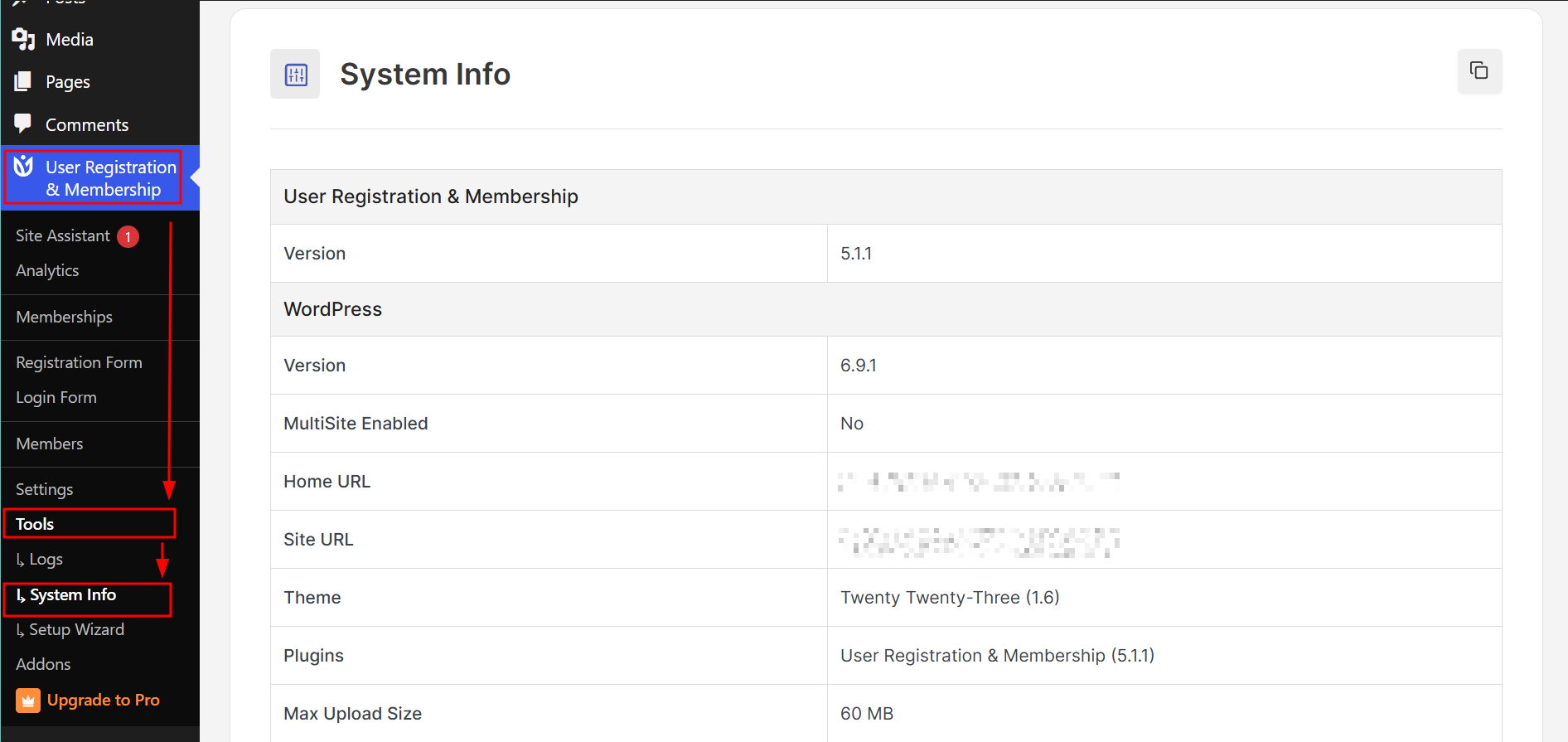 Accessing System Info in User Registration and Membership plugin